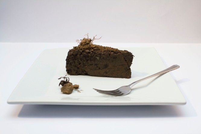 8-IMG_2997cake