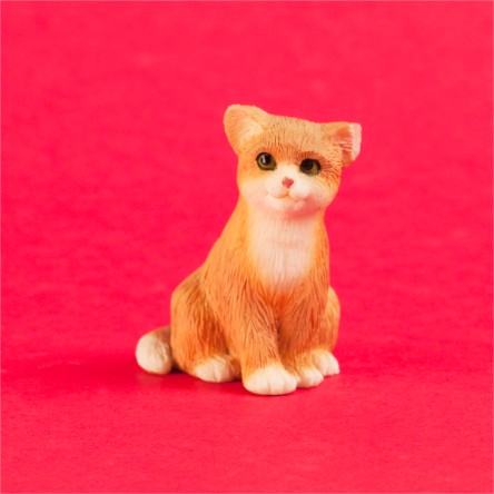 7. Cat